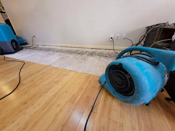 Professional Burst Pipe Water Damage technician working in Lucama, NC